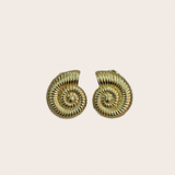 Mid Golden Conch Earrings