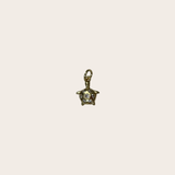 Small Turtle Diamonds Charm