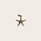 Starfish with Shell cz Charm