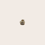 Small Paw cz Charm