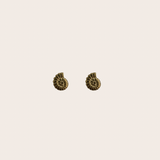 Conch Studs