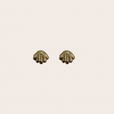 Pearls Shell Studs