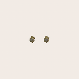 Turtle cz Studs
