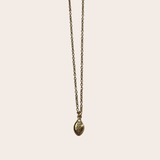 Dainty Cowrie cz Necklace