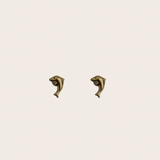 Dolphin Studs