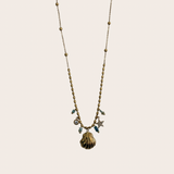 Shell in Blue Chain