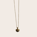 Golden Shell cz Necklace