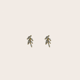 Leaf cz Studs