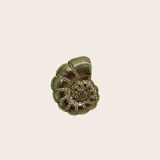 Big Conch cz Ring