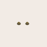 Shell cz Studs