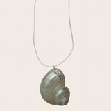 Big Natural Conch Necklace