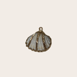 Natural Shell Charm