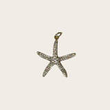 Big Dainty Starfish cz Charm