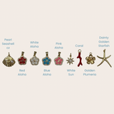 Charms 5.0