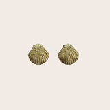 Shell cz Earrings