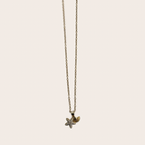 Small Starfish Shell Necklace