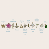 Charms 4.0