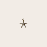 Dainty Starfish cz Charm