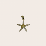 Starfish with Shell cz Charm