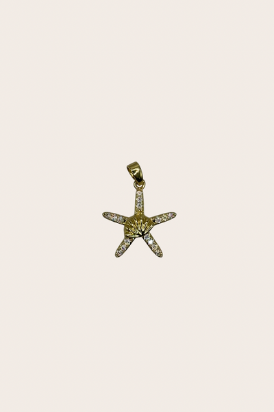 Starfish with Shell cz Charm