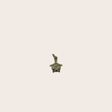 Small Turtle Diamonds Charm