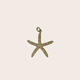 Big Dainty Starfish cz Charm