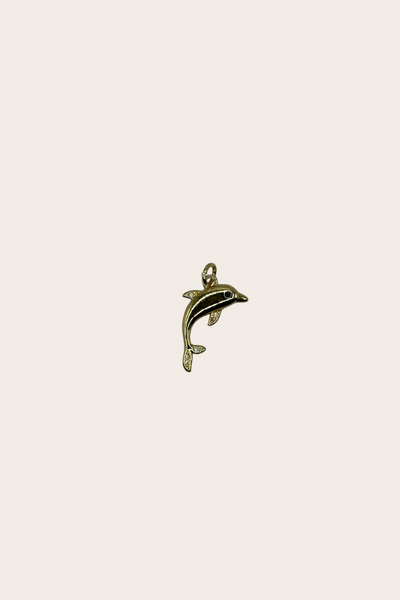 Dolphin Charm